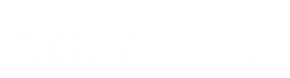 Izgradnja MS logo